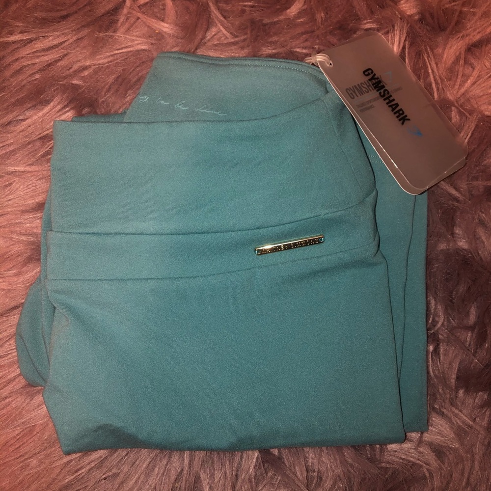 Whitney Simmons leggings Sage M